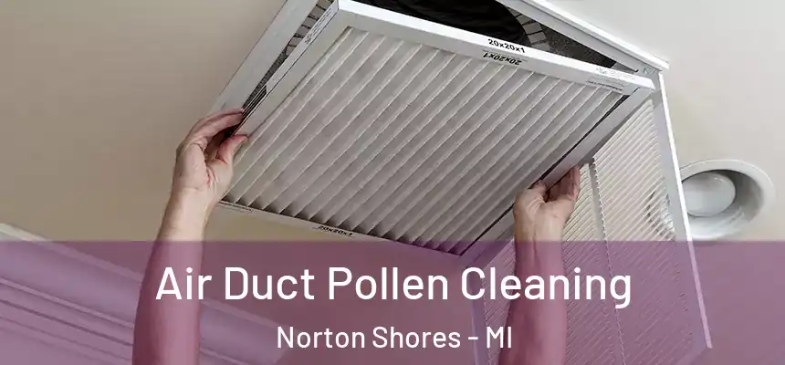 Air Duct Pollen Cleaning Norton Shores - MI
