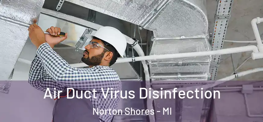  Air Duct Virus Disinfection Norton Shores - MI