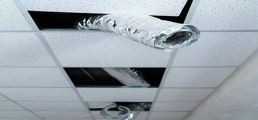 Affordable HVAC Sanitizing After Pest Removal in Norton Shores