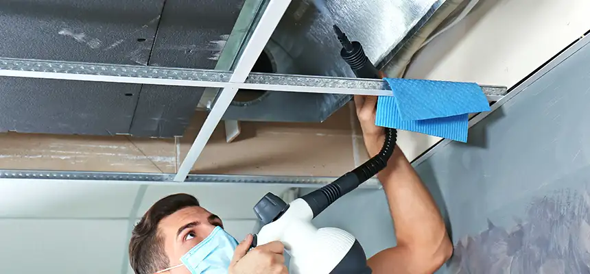 Our Air Duct Rodent Removal Services in Norton Shores, MI