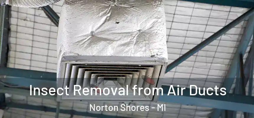 Insect Removal from Air Ducts Norton Shores - MI