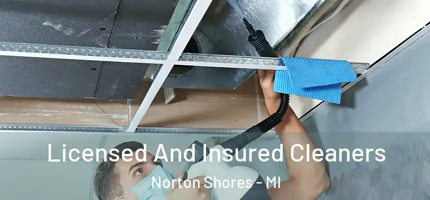Licensed And Insured Cleaners Norton Shores - MI