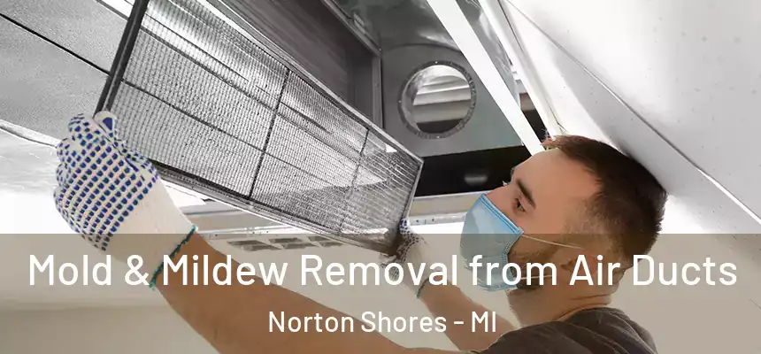  Mold & Mildew Removal from Air Ducts Norton Shores - MI