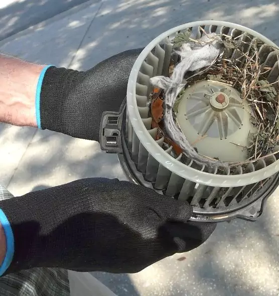 About Air Duct Rat Removal in Norton Shores, MI