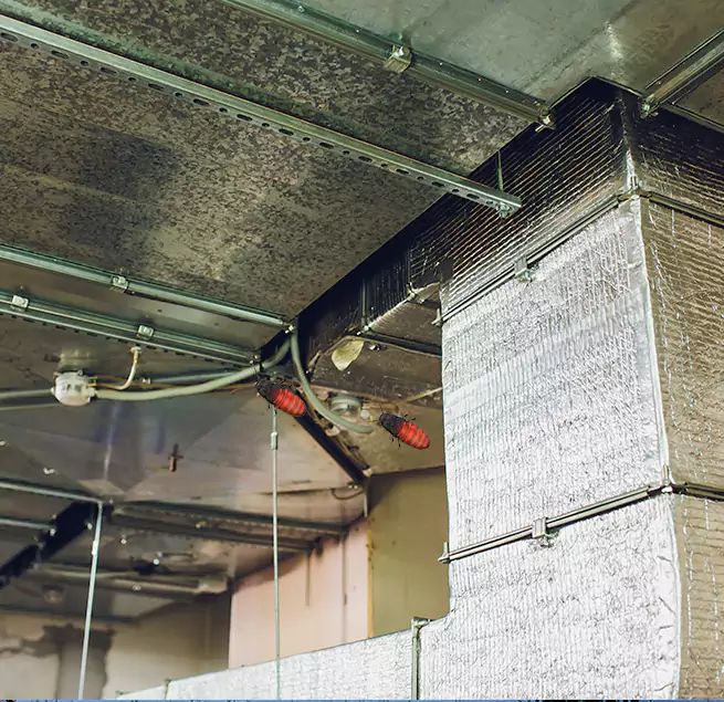 Why Homeowners & Businesses Trust Us in Norton Shores, MI?