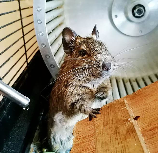 Why Homeowners & Businesses Trust Us Norton Shores, MI